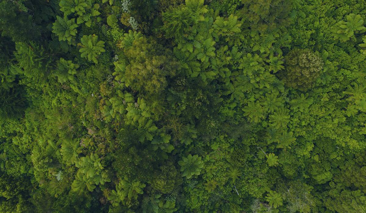 Sustainablity Commitment Background